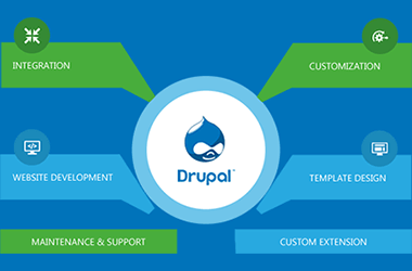 Drupal Development Service