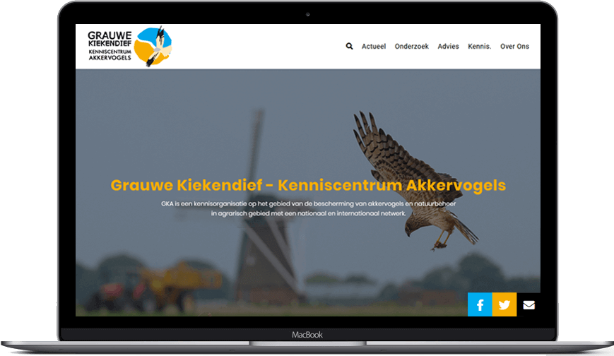 GRAUWE KIEKENDIEF - Wordpress Portfolio by Codedrill